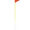 Buggy Whip With Reflective Flag And Pole 3‑Piece Orange/Lime 3m