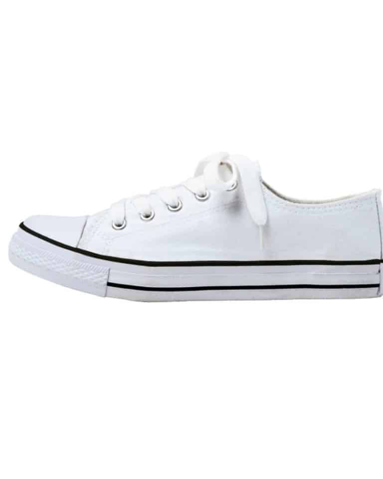 Barron Canvas Lace Up Sneaker Shoes ZDI Safety PPE & Uniforms