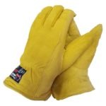 Pioneer Touch Deer Split Leather Glove With Themal Lining Size L or Size XL