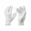 White Ceremonial/Search Gloves Cotton White